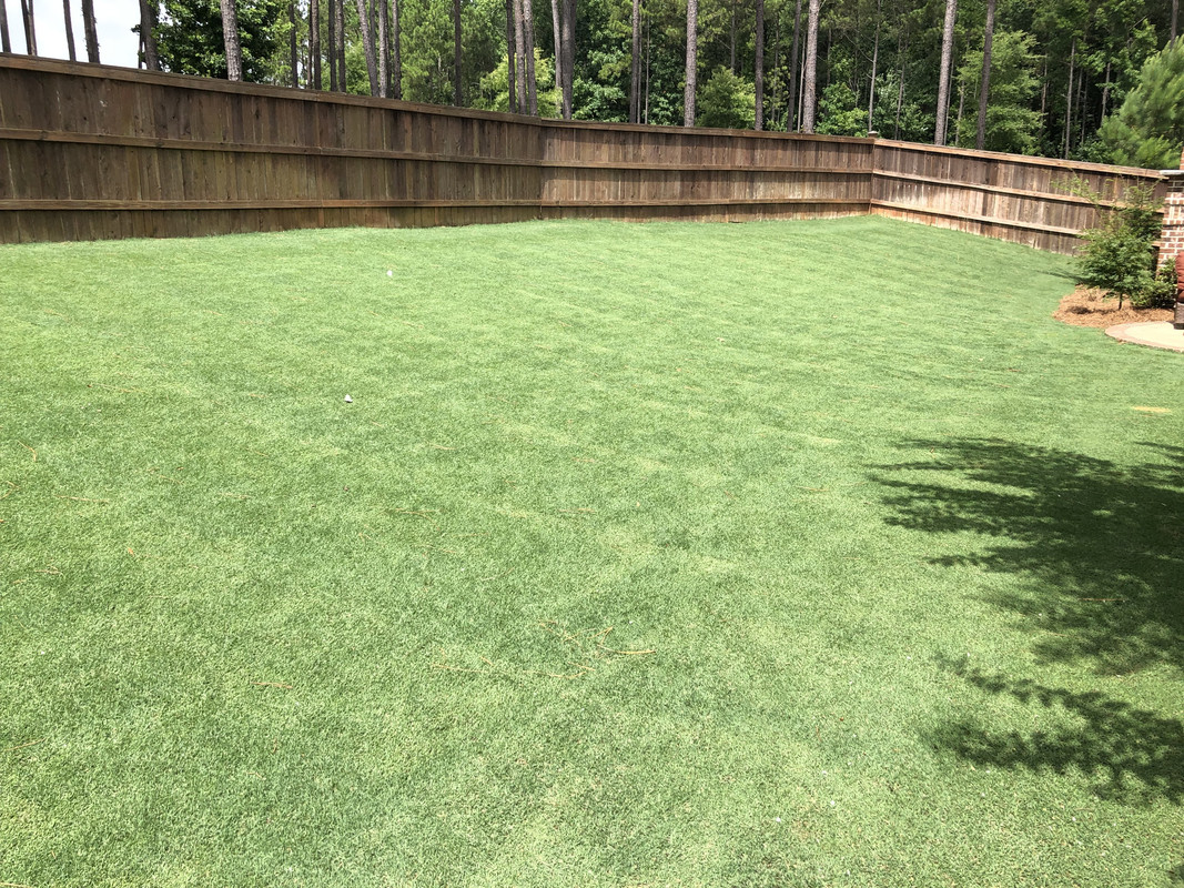 B0214C79-1115-4B55-B846-9233AFBA316A