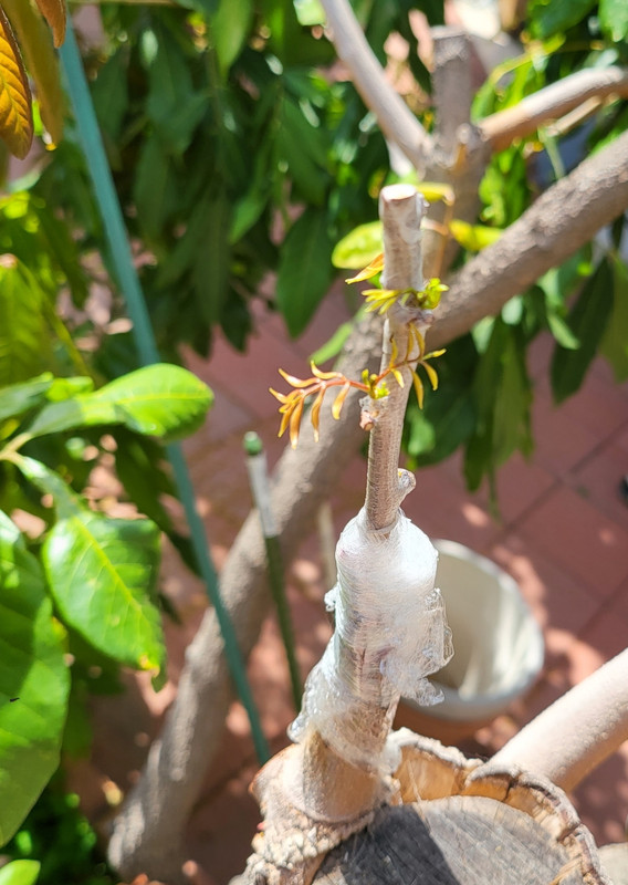 Screenshot_20220514-085423_Gallery