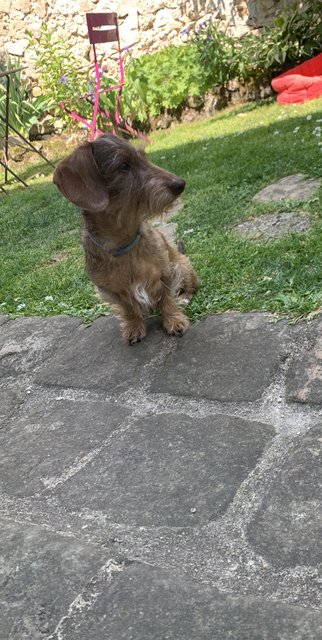 [Image: IMG-6538.jpg]