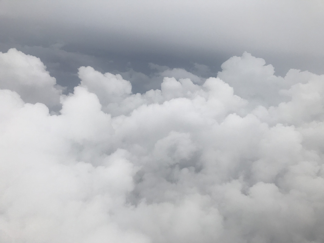 4D4FDD27-84BB-4D2C-B79A-A9F2ED9495B5