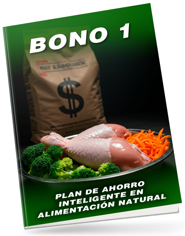 Bono 1