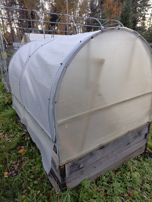 IMG_20240928_183005_586