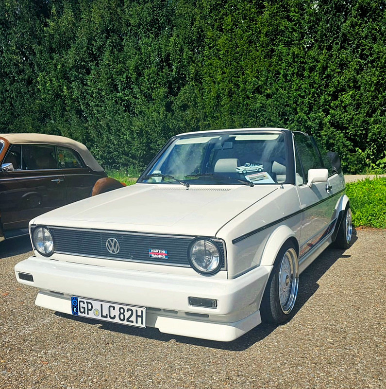 vws200 (3)