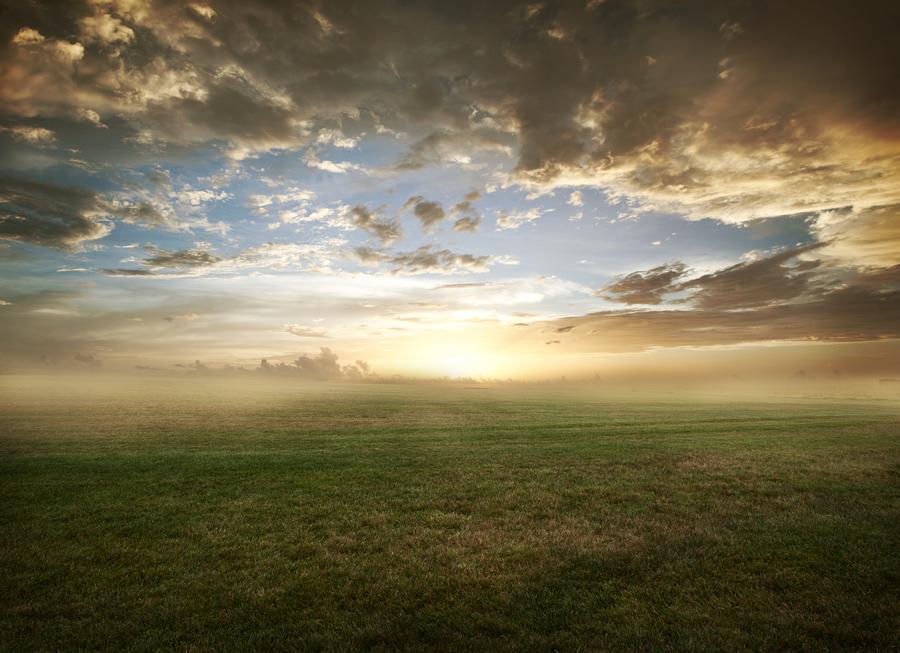 grassy_field_sunset___free_stock_by_kevron2001_d5blgkr-fullview
