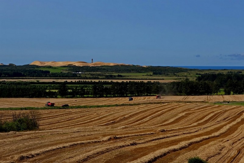 20170812 Lönstrup 142