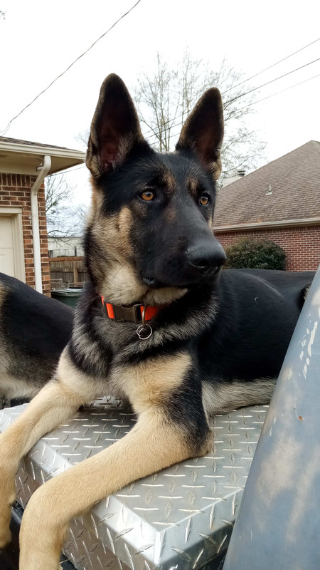 FE534B17-07BB-4770-BC46-48392D4D2FD2