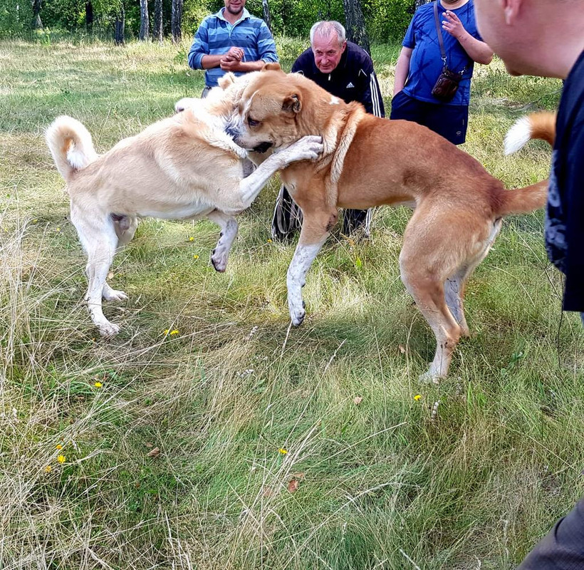 WhatsApp Image 2019-08-03 at 17.20.12(2)