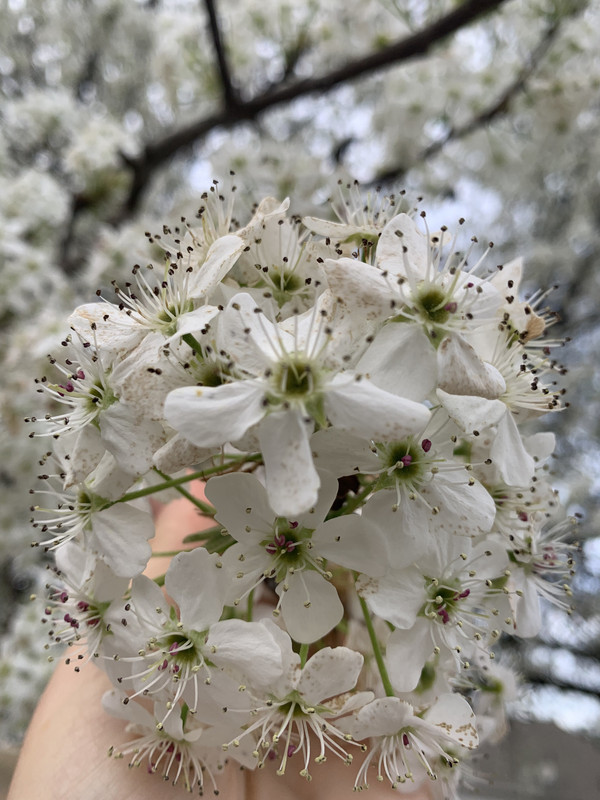 7BB2C154-C380-4158-9CBB-4772C1F7DDC4