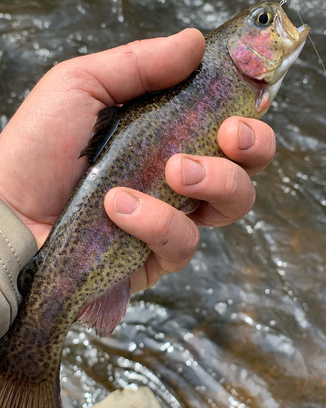 A0241800-26C1-47E2-BF46-D79F629EFFDF