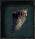 [Imagem: Claw-of-Beast.png]