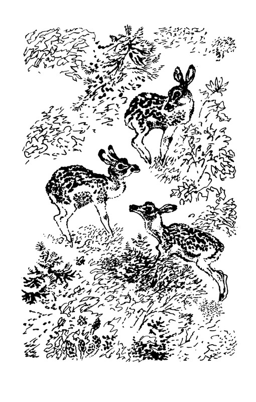 1993-page-0055