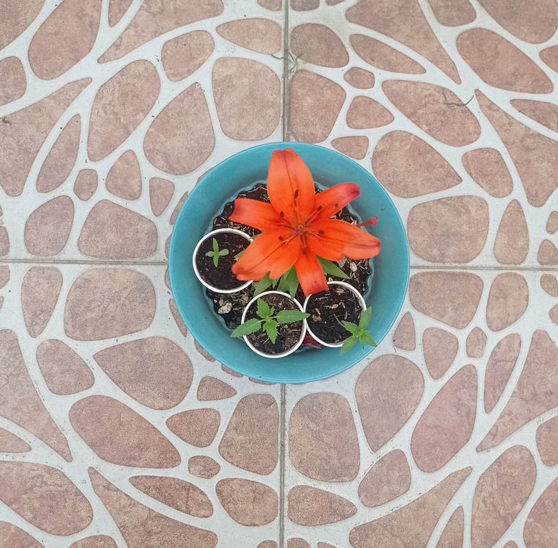 317372613_827082641912866_5419987936667057167_n