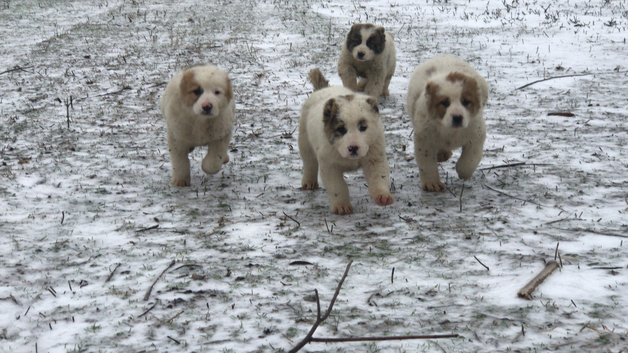 2780FCAA-B7B4-48BC-B825-8616D200314B