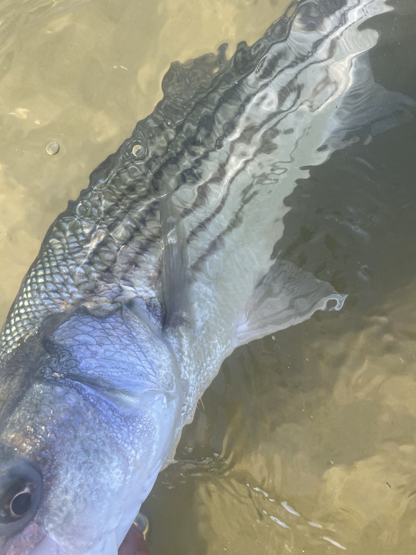 AB41DF5A-3308-4458-97BD-B0DB99D2165B