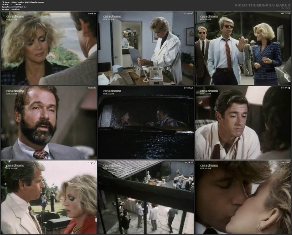 Knots Landing S06E05 Ipso Facto.mkv