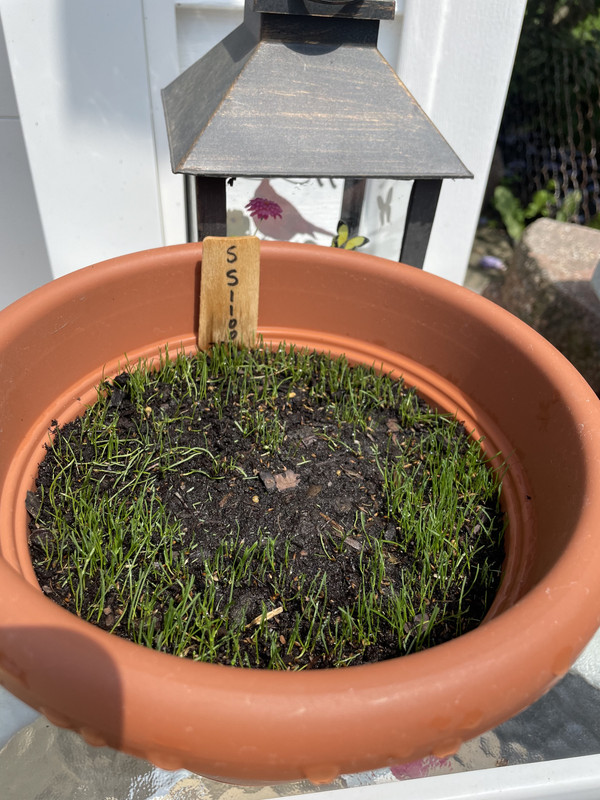 E7D7A97E-C74F-4761-8C8A-FD8525BE9660