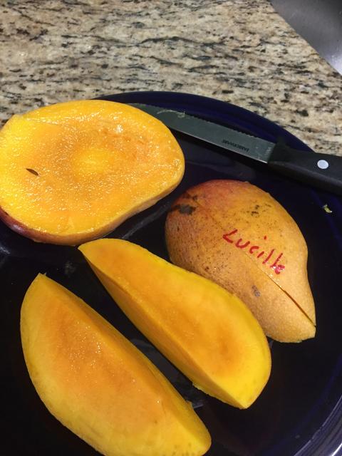 B37BF70F-1B9E-4839-8B23-609745D8CB67