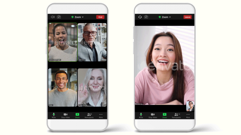 Zoom Views: Online Video Conference Toolkit - 7