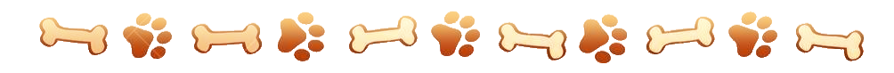 divider with bones and pawprints
