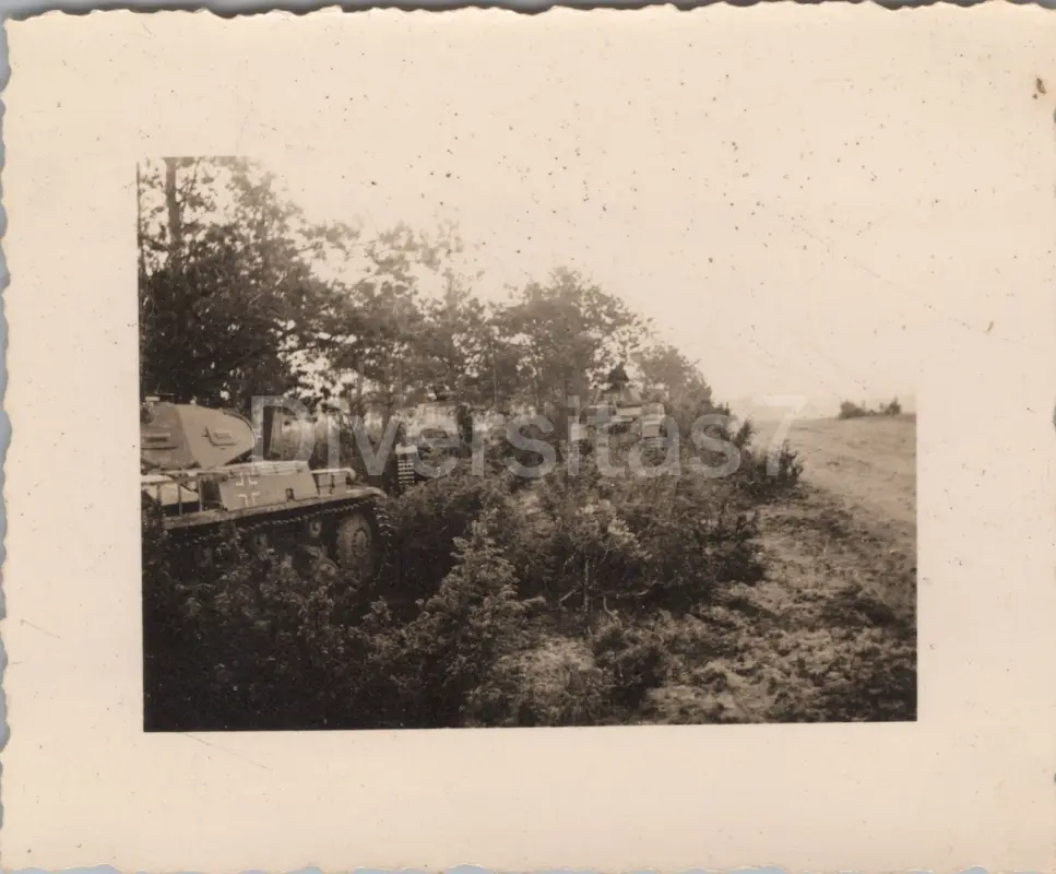 Foto a Nachl. Uffz H Gollner Panzer-Regt. 4, erster Panzer Angriff Slonim D-82