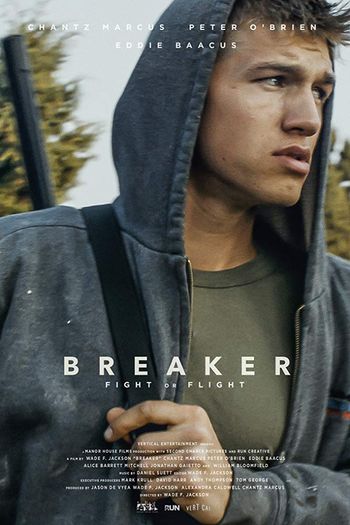 Breaker 2019 1080p WEB-DL H264 AC3-EVO