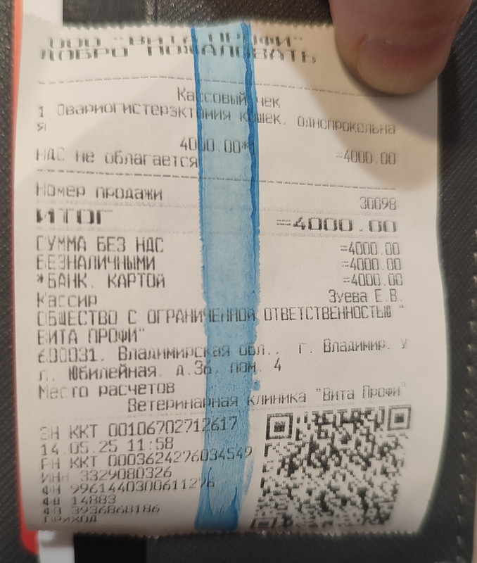 стерилизация серенькой