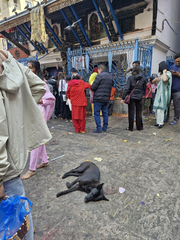 IMG_20240330_224953_343