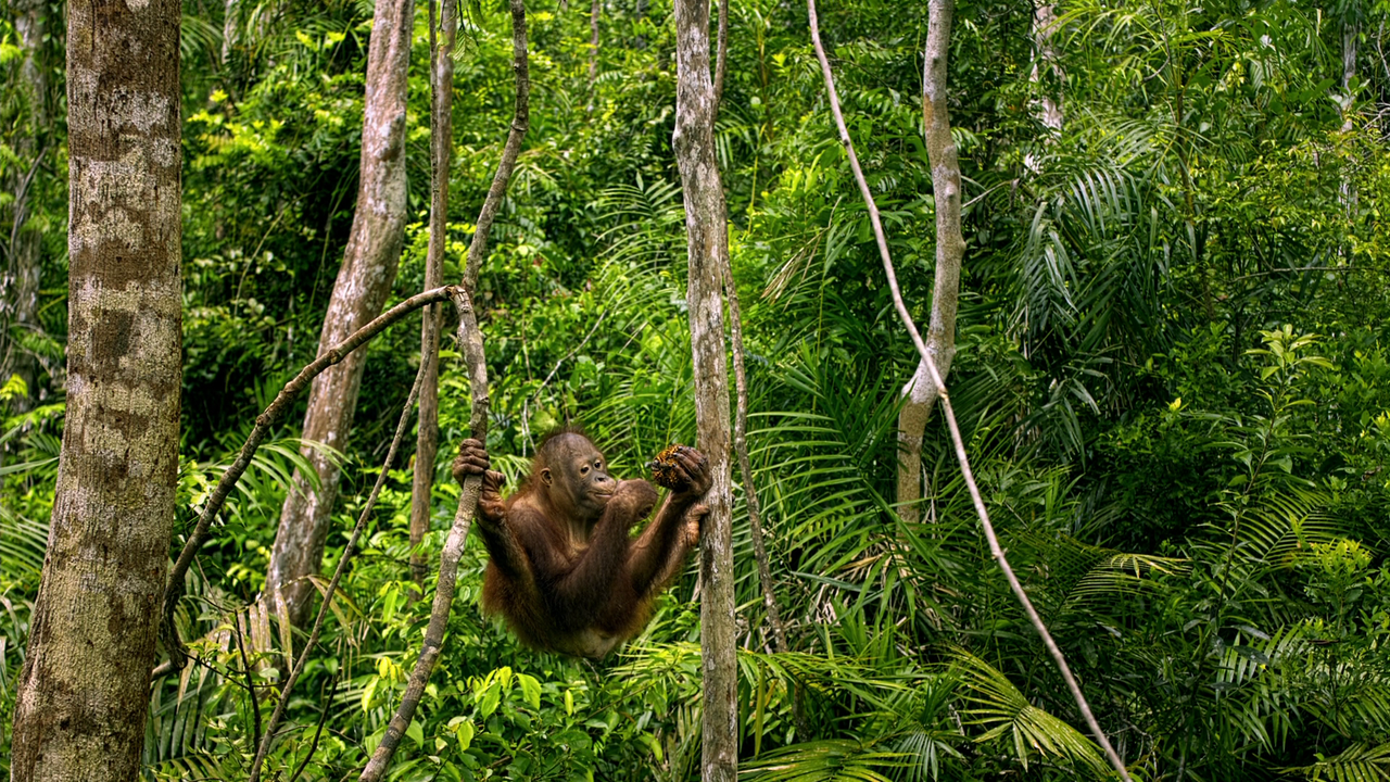 vlcsnap-2023-02-06-15h07m01s213