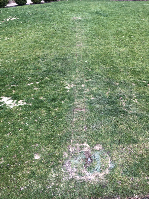 C333BAE3-9C63-4599-8F36-9B28946D828D