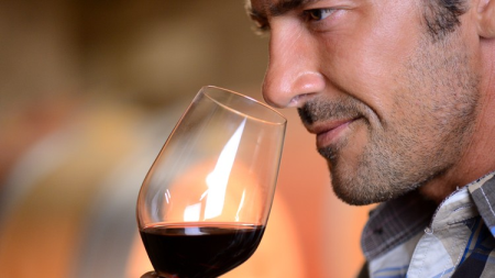 Wine: Everything You Want to Know, Taught by a Winemaker