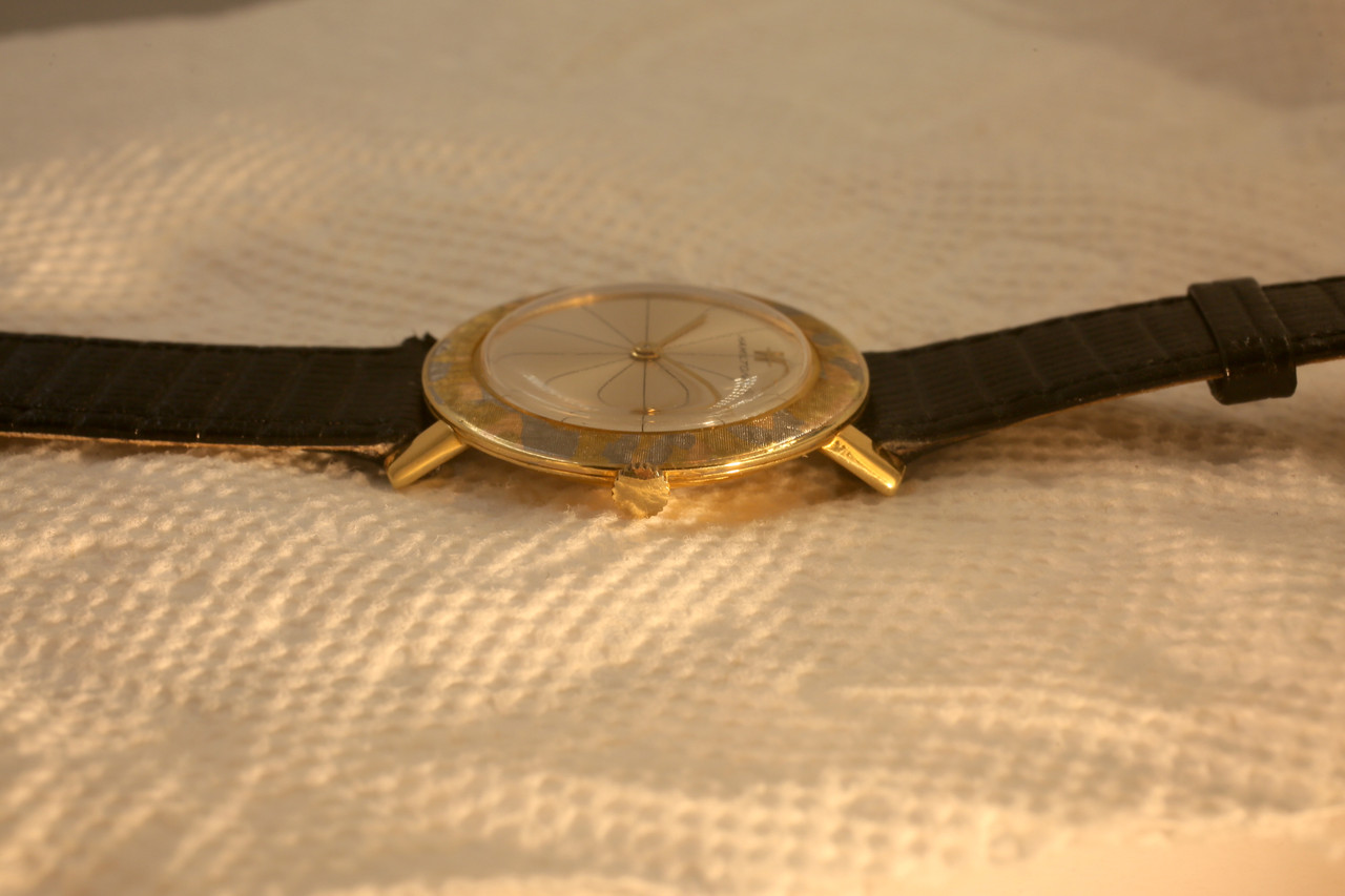 1J6A0482.jpg