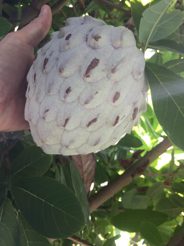 24985912-BE0A-48DF-92D3-365057B514AC