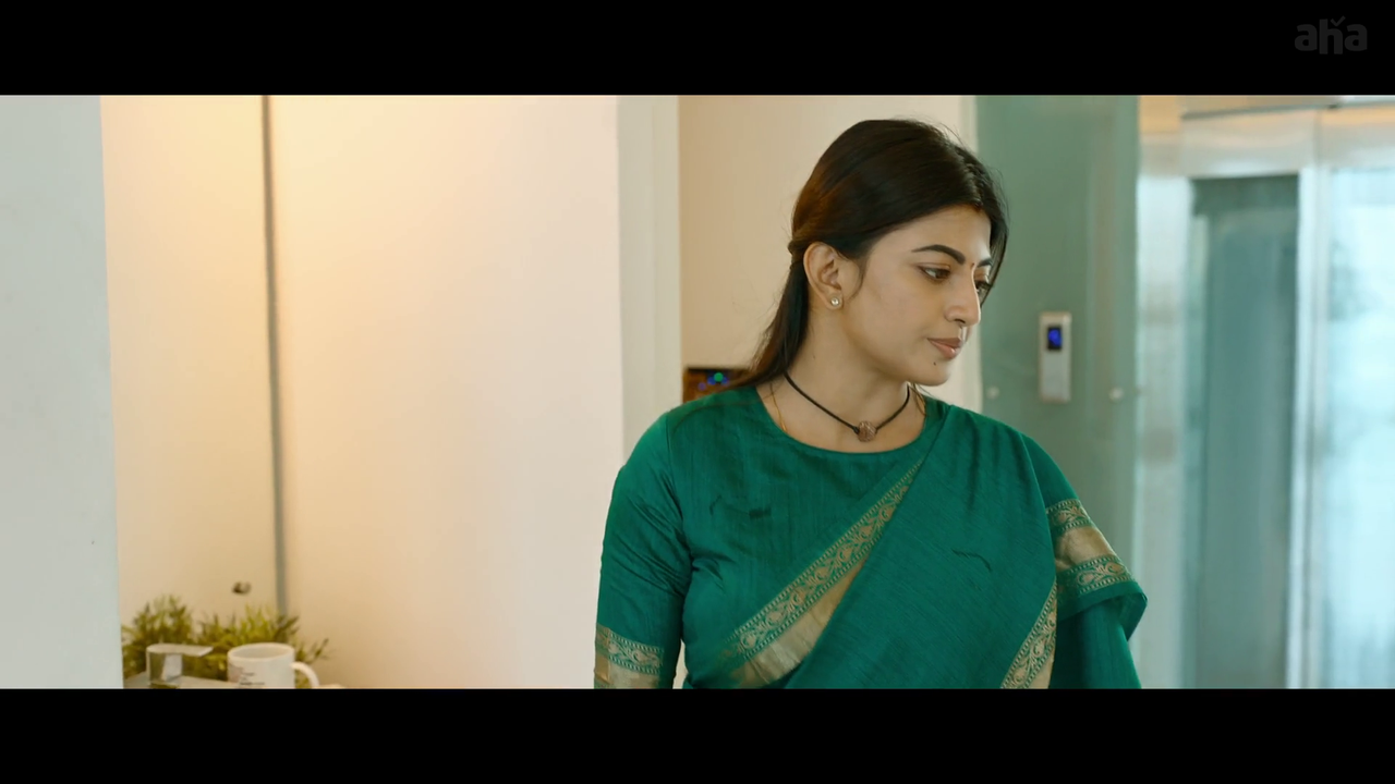 vlcsnap-2025-04-21-19h27m37s671