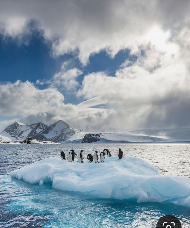 Screenshot_20231019_203552_Pinterest