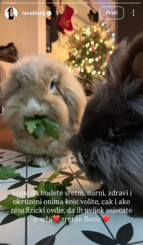 Screenshot 20251225 233554 Instagram