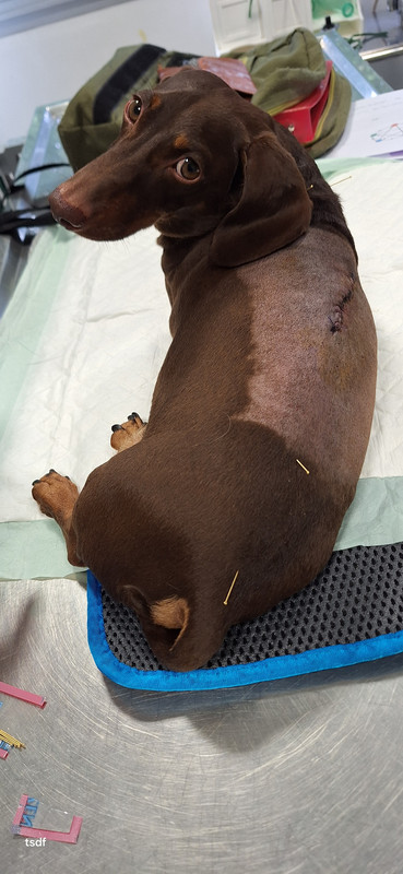 [Image: 20250819-185617.jpg]