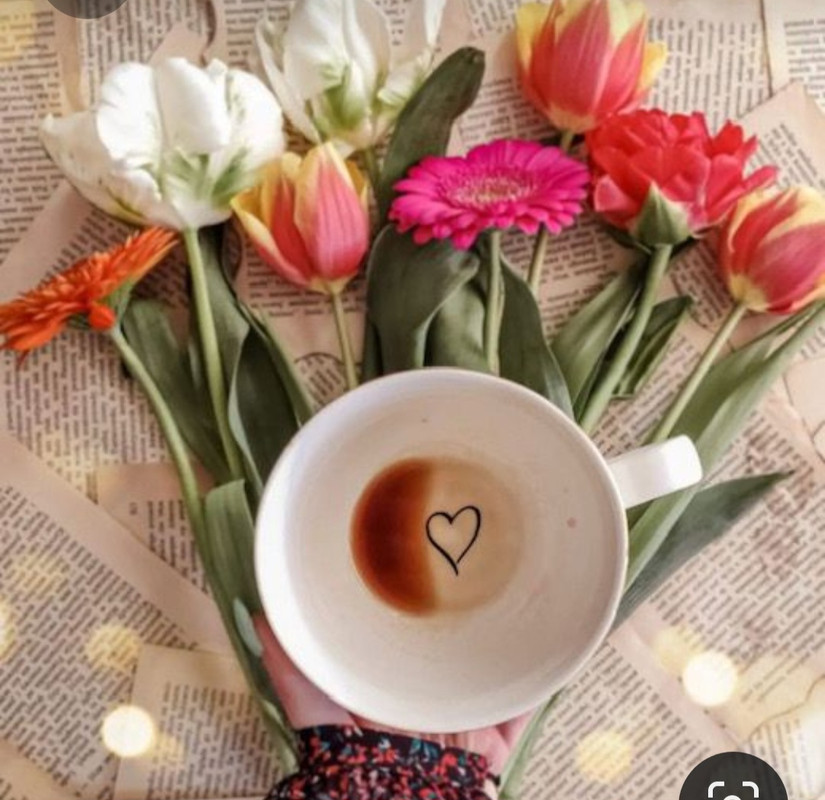 Screenshot_20230316_183354_Pinterest