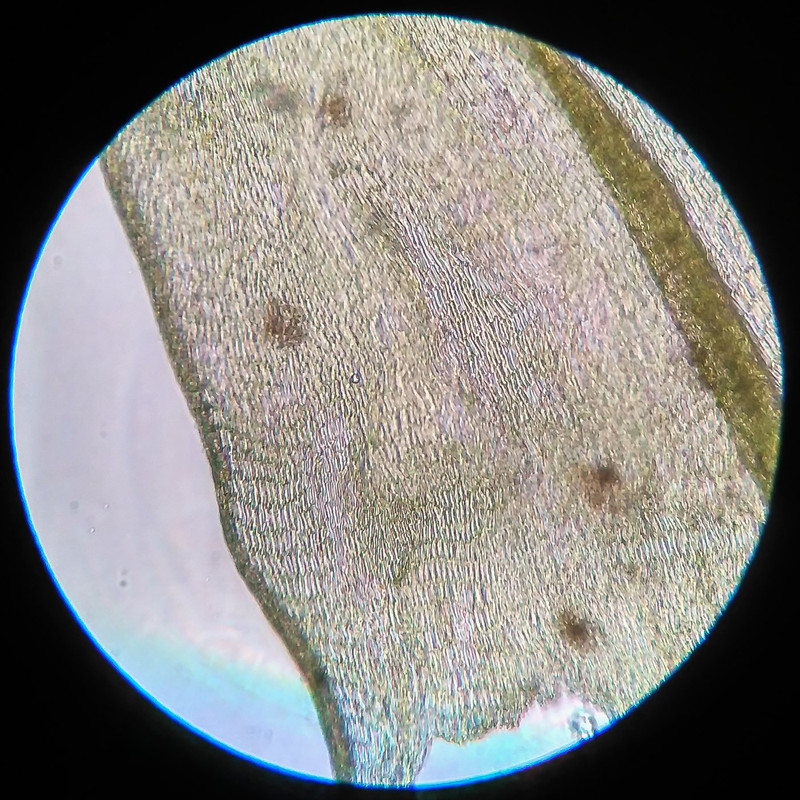 IMG 20250616 211020 HDR