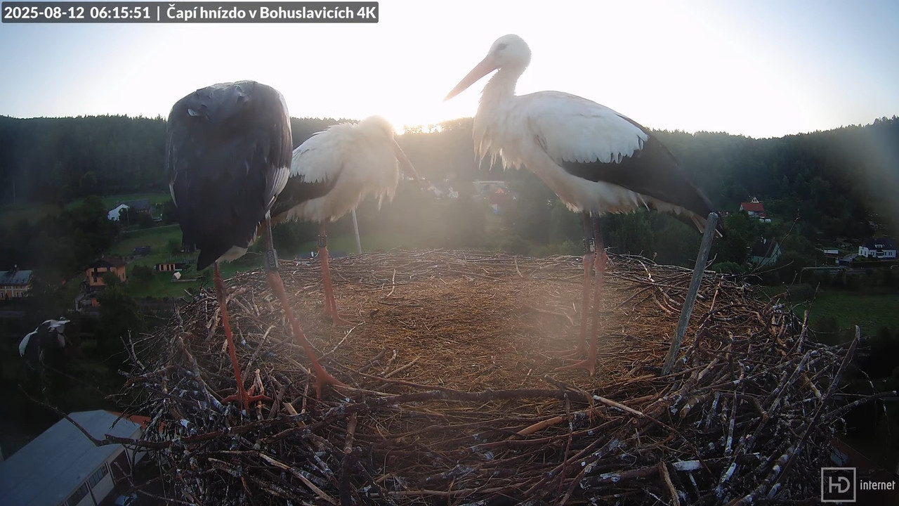 Živě z čapího komína firmy KARA v Bohuslavicích u Trutnova 10-34-24 screenshot