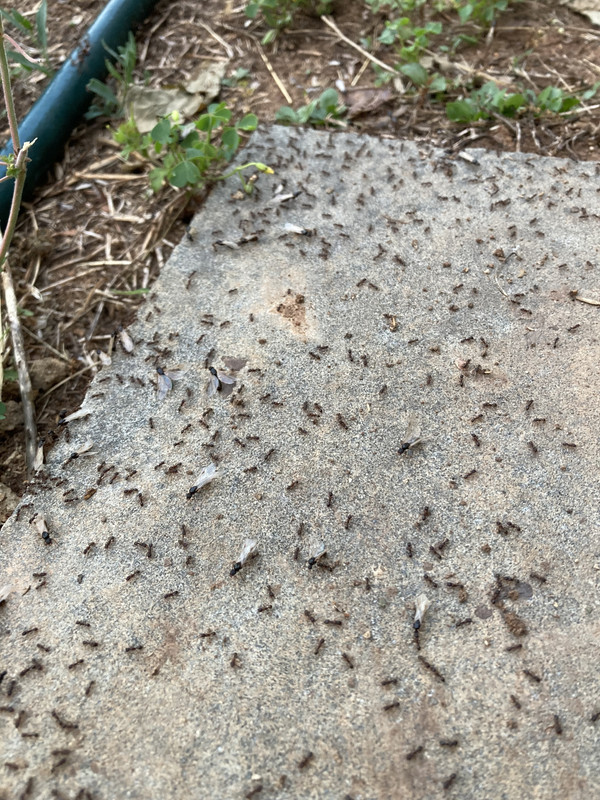 046B17B8-703E-41BB-B7FD-F0C34771BE3B