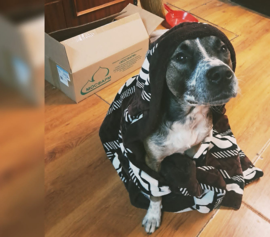 51BAFB91-FD61-4846-8855-2F9605F86416