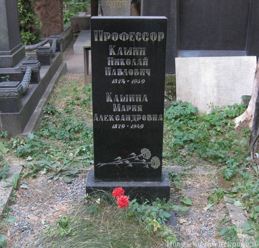 kashin-np