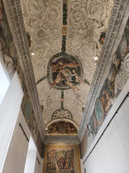 Roma: Villa Farnesina, Bernini&Barberini, Detroit Museum - Roma y Nápoles: Bernini, Giorgione y mucho más. (192)