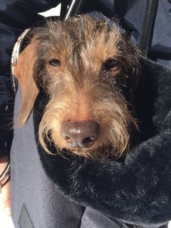 [Image: CC907-B20-3-D9-D-44-F0-AAF1-80621-D9-F37-A9.jpg]