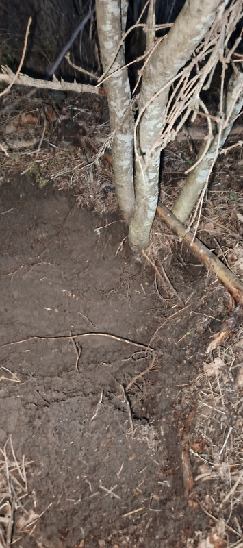 IMG 20260315 192034 480