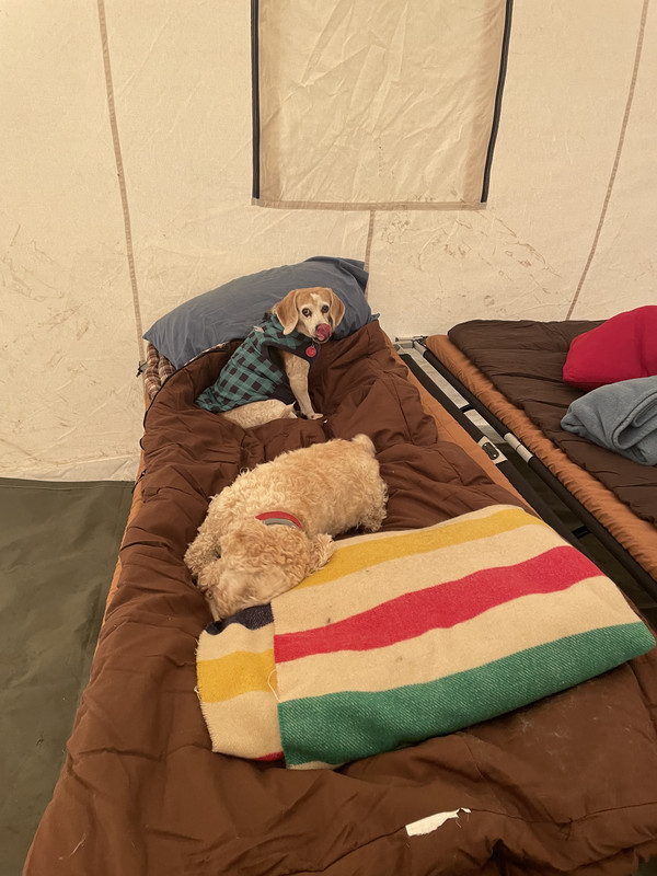 6D45BD18-3D7F-46C1-9A25-B9437A24F91C