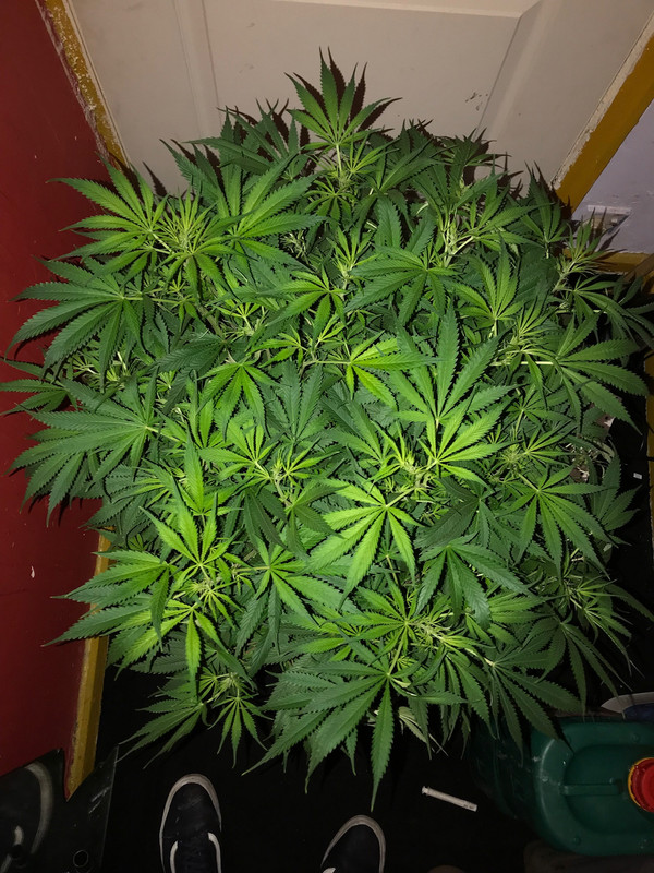 06DC099D-D94A-4AB6-A5E2-4AAD179B091C