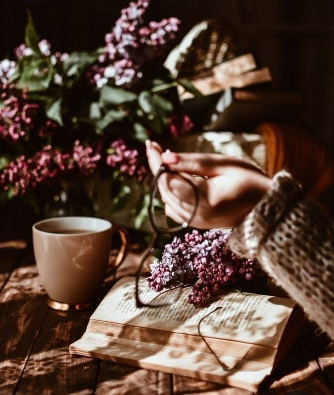 Screenshot_20230603_232253_Pinterest