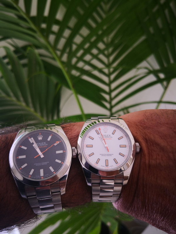 Votre collection monomarque Rolex - tome 3 - Page 6 IMG-20190320-105613