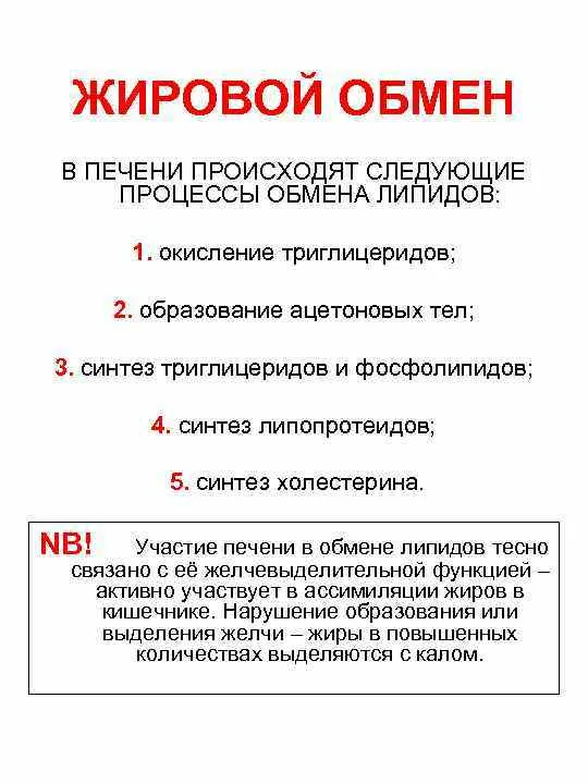 8ECF1337-AC8D-4F65-8FF4-46C1DD2D64F5